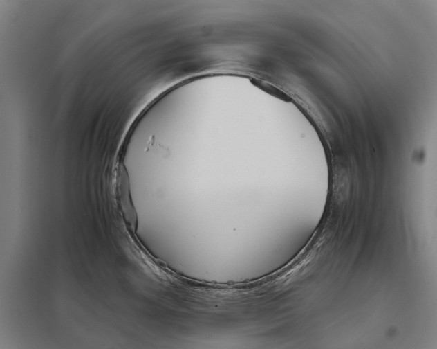 X0000097761292200803281625