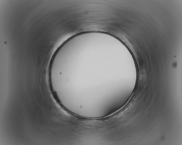 X0000097761293200803281625