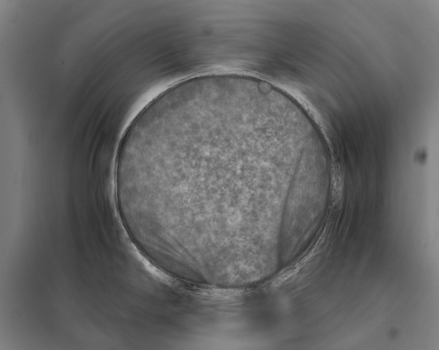 X0000097761294200803281625