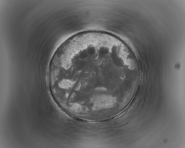 X0000097761295200803281625