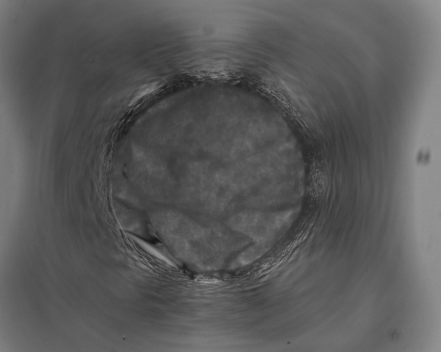 X0000097761297200803281624