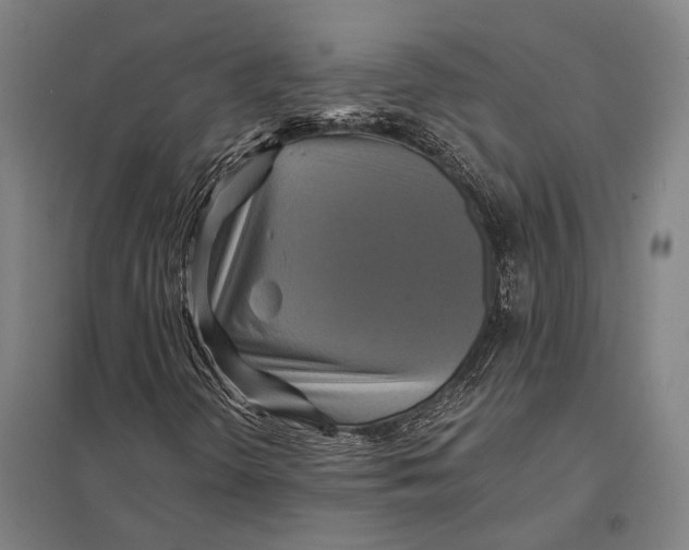 X0000097761298200803281624