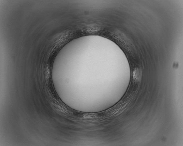 X0000097761299200803281624