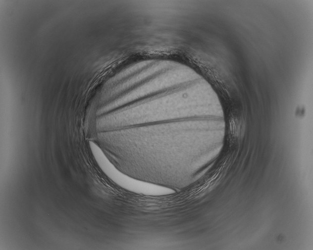 X0000097761300200803281624