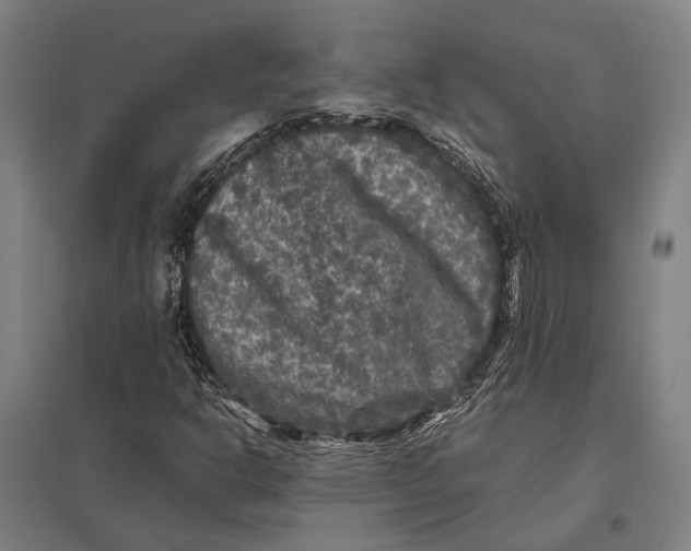 X0000097761302200803281624