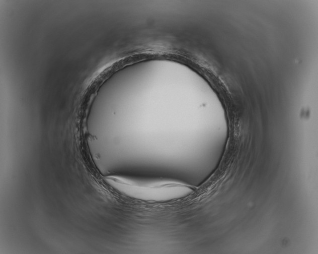 X0000097761304200803281624