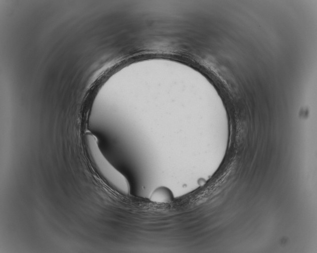 X0000097761307200803281624