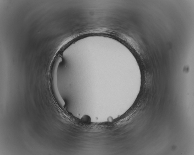 X0000097761308200803281624