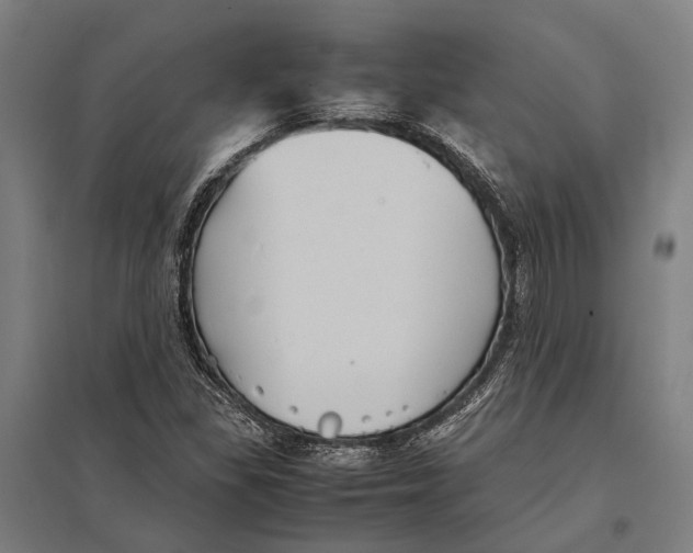 X0000097761309200803281624