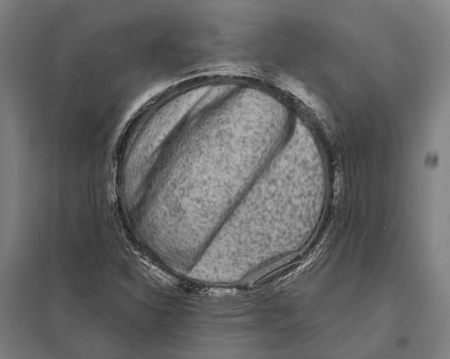 X0000097761310200803281624