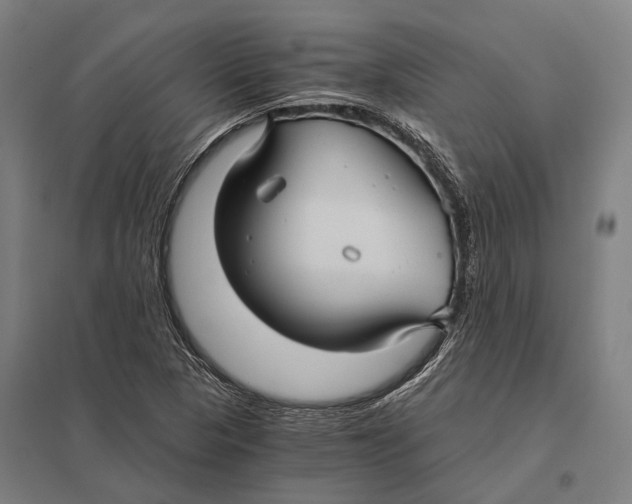 X0000097761313200803281624