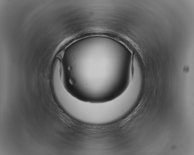 X0000097761314200803281624