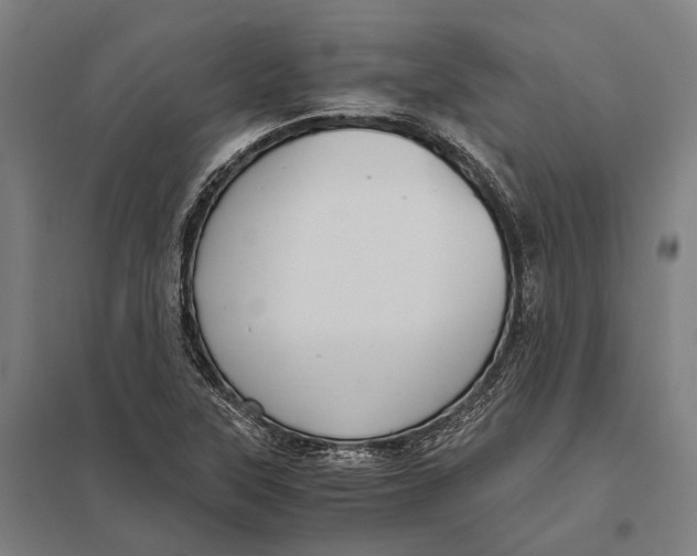 X0000097761315200803281624