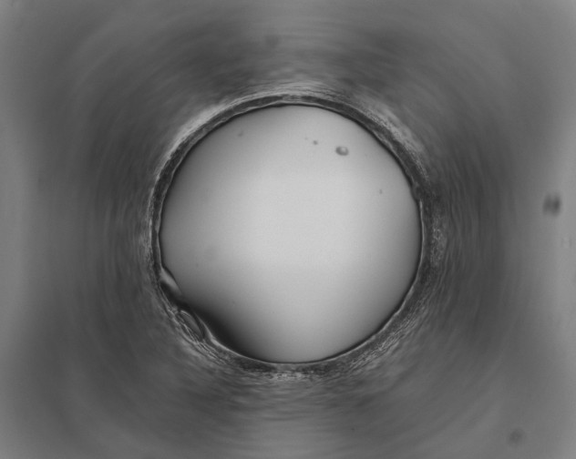 X0000097761316200803281624