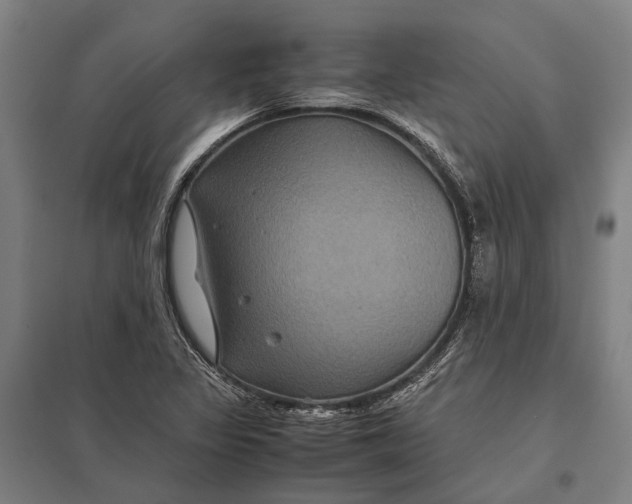 X0000097761317200803281624