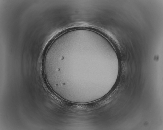 X0000097761318200803281624