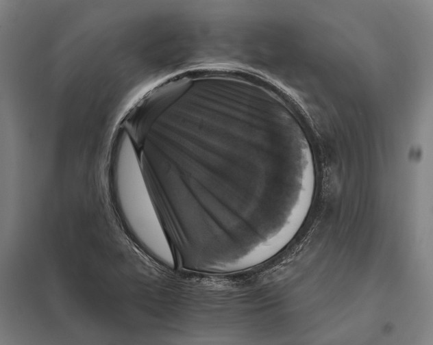 X0000097761319200803281624