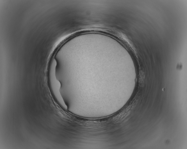 X0000097761320200803281624