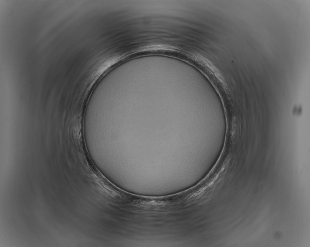 X0000097761321200803281625