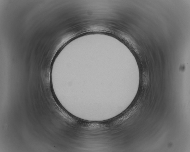 X0000097761322200803281625