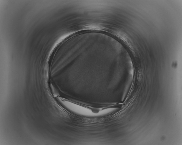 X0000097761323200803281625