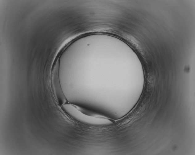 X0000097761324200803281625