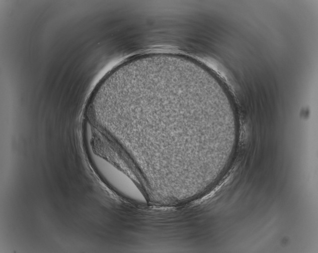 X0000097761325200803281625