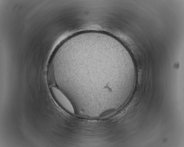 X0000097761326200803281625