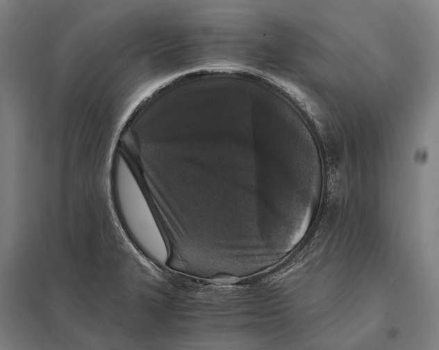 X0000097761327200803281625