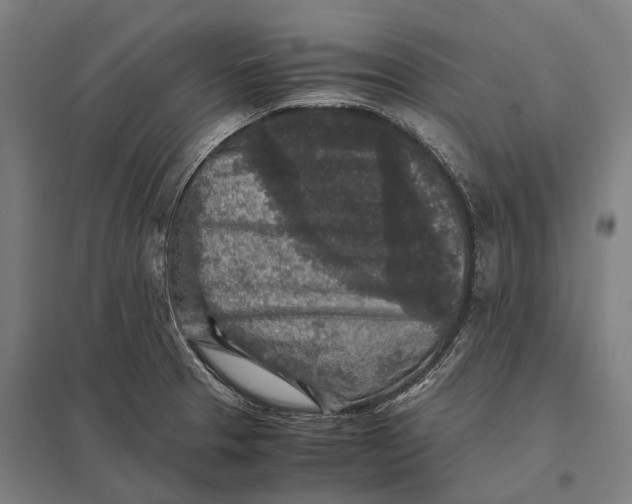 X0000097761329200803281625