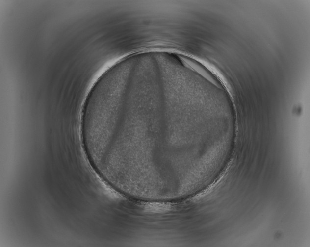 X0000097761333200803281625