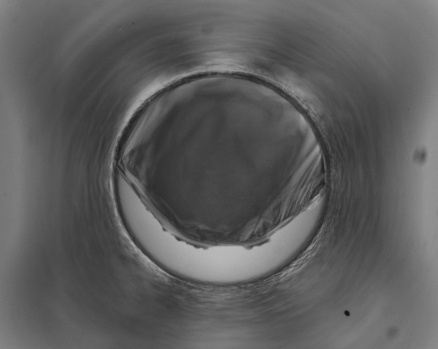 X0000097761334200803281625