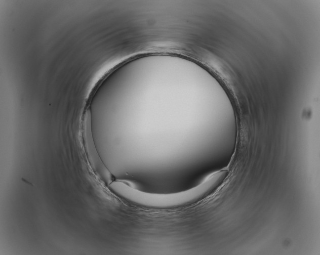 X0000097761336200803281625