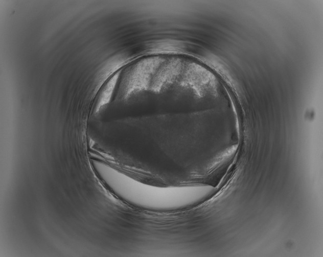 X0000097761337200803281625