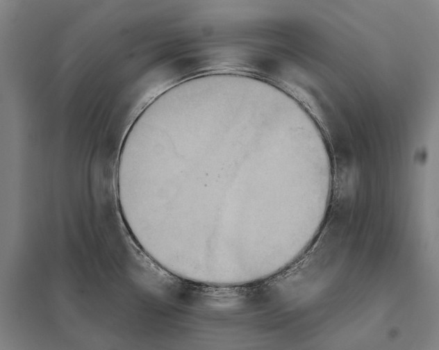 X0000097761338200803281625