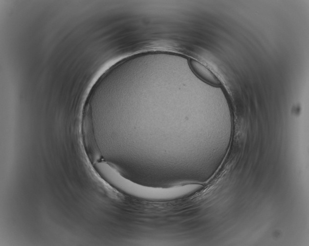 X0000097761339200803281625