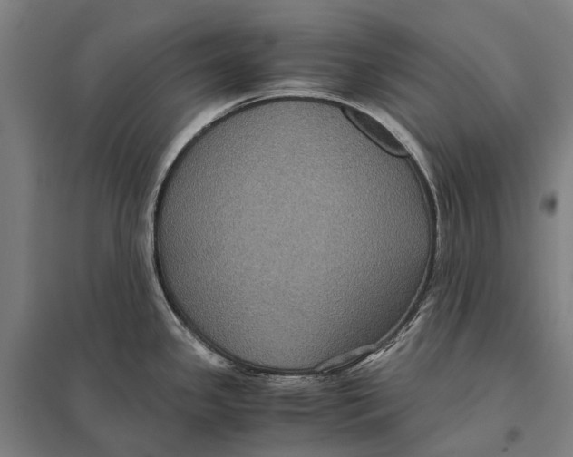 X0000097761341200803281625