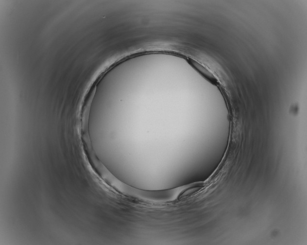 X0000097761342200803281625