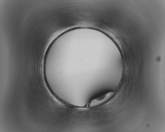 X0000097761343200803281625