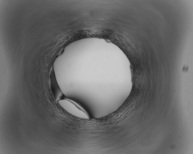 X0000097761345200803281624