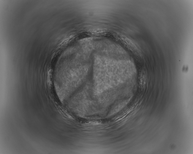 X0000097761346200803281624