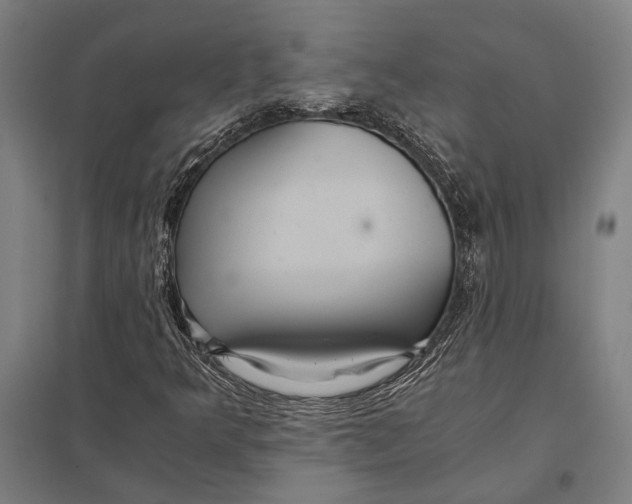 X0000097761349200803281624