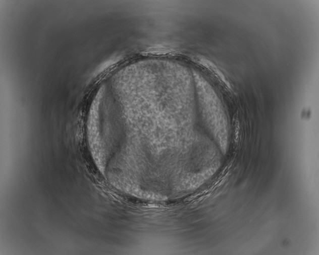 X0000097761350200803281624