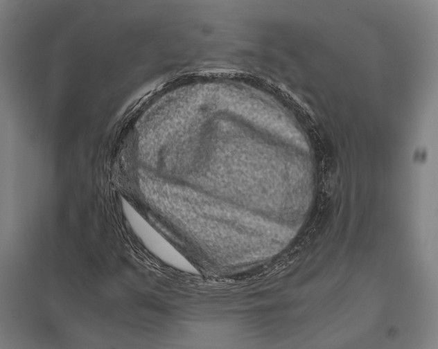 X0000097761351200803281624