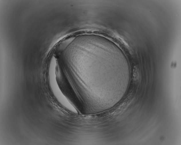 X0000097761352200803281624