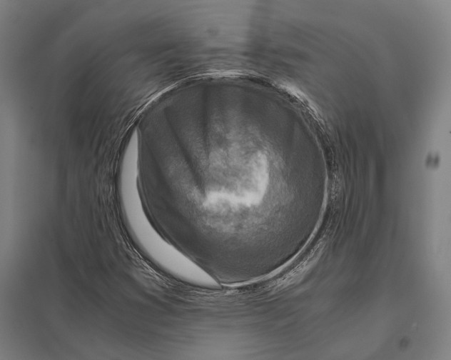 X0000097761353200803281624