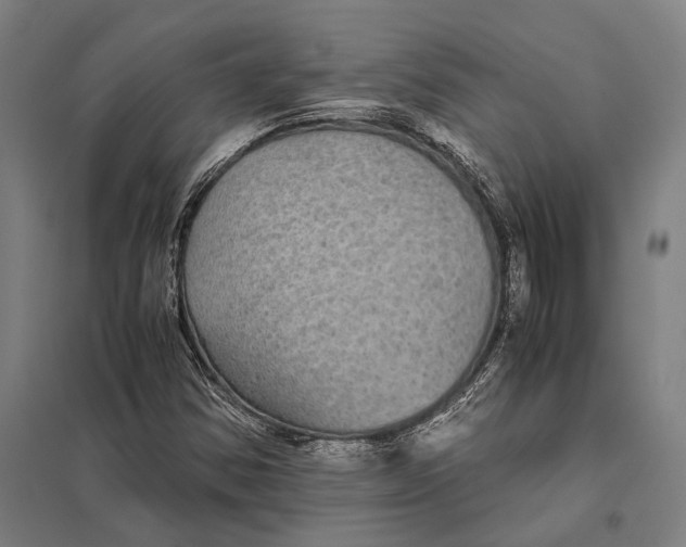 X0000097761354200803281624