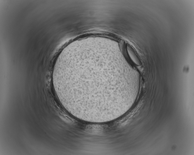 X0000097761355200803281624