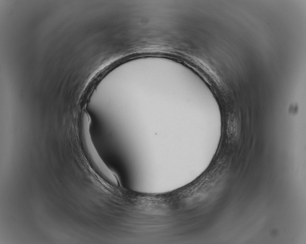 X0000097761356200803281624