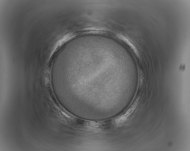 X0000097761357200803281624